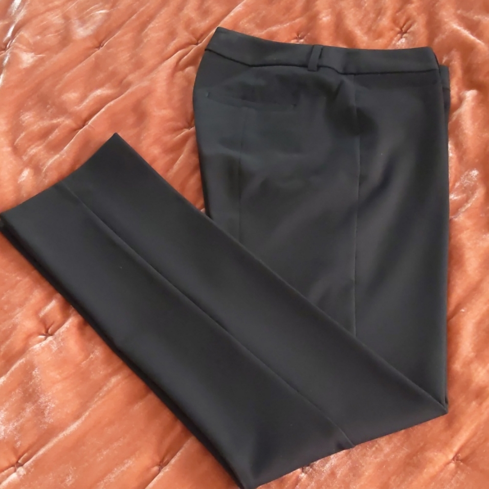 Express Columnist Pants